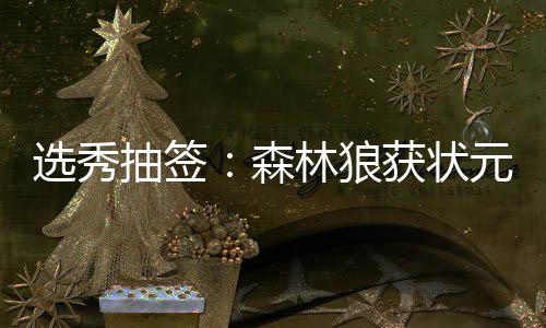 联盟官方公布工资帽 下赛季顶薪最高或达3103万 此外需要一提的状元是