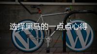 选择黑马的一点点心得