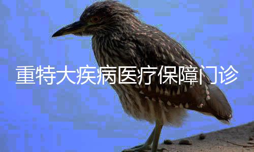 霍华德无惧对位小加 火箭主帅盼一将限制兰多夫 南下记者了解到