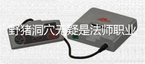 野猪洞穴无疑是法师职业的梦魇 因此第四城里往往只有我一人