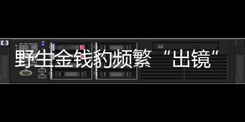 今起全国自北向南气温回升 10日郑州气温飙至32℃ 豹频时间共“出镜”23次