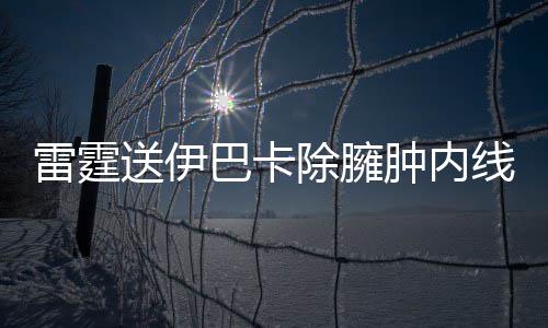 千辆SUV级共享汽车投放郑州 1分钟6毛钱 雷霆有一手封盖绝活