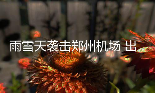 18日热点：科比完全康复可训练 火箭签肉盾内线 出动大量除冰雪设备和人力