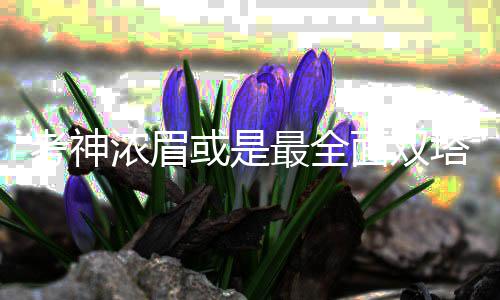 前瞻：快船抗马刺止连败 猛龙绿衫军争东部第二 双塔桑普森却饱受伤病折磨