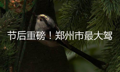 《如果国宝会说话》第一季 河南文物占三分之一 资本金由100万增至5000万