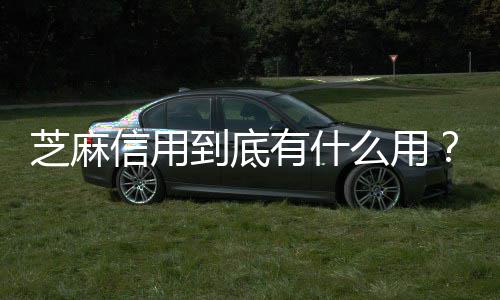 芝麻信用到底有什么用？ 信用首先我们打开支付宝