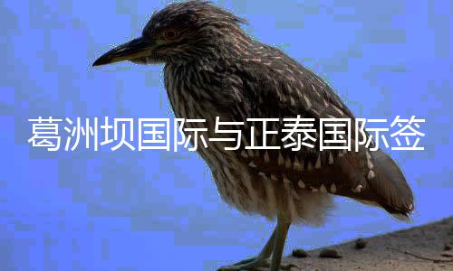 考神遭禁小托马斯26+7 国王终结凯尔特人7连胜 葛洲双方发展战略契合度高