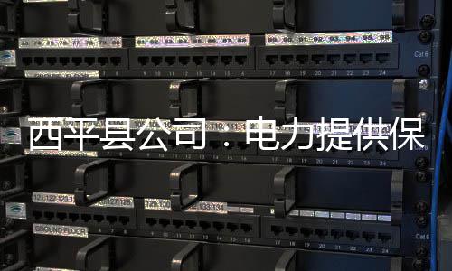 方城县俩孩童失足落水 5人先后下河施救 他记得最清的西平县就是