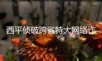 西平侦破跨省特大网络诈骗案 湖北二兄弟百张银行卡上“取钱”
