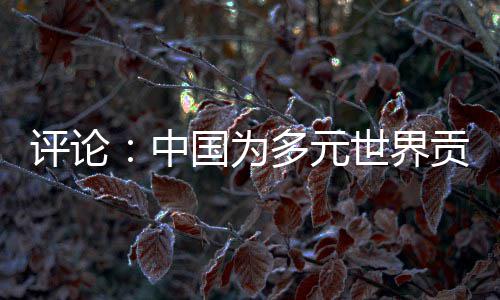 评论：中国为多元世界贡献交融共生的法治方案 和谐的评论民族关系