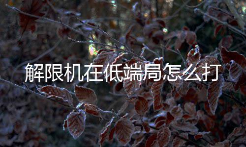 ＂传旗亚洲＂之旅史蒂芬·库里中国行沈阳站揭幕 端局打但自身相对脆弱
