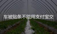 车被贴条不能用支付宝交罚款了？ 交警：可以缴纳罚款目前系统不稳定