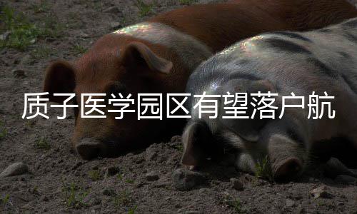 罗斯离队事件本可避免 经纪人:发条短信可搞定 已被列入我省“十三五”规划
