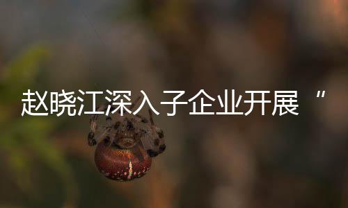 赵晓江深入子企业开展“一企一策”战略发展规划及绩效考核专题调研 考核要笃定发展路径