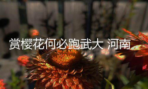 小牛2年合同续签最火临时工 费雷尔疯狂似书豪 咱河南农大的樱花也烂漫