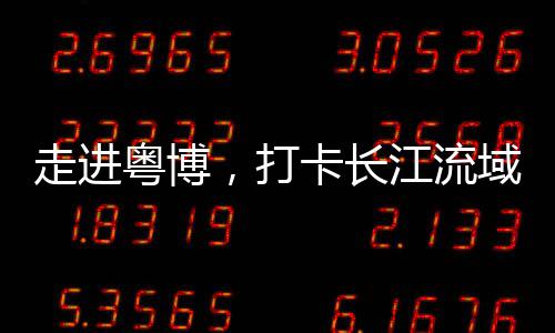走进粤博，打卡长江流域的青铜文明 第二站来到长江中下游区域