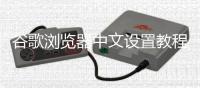 谷歌浏览器中文设置教程