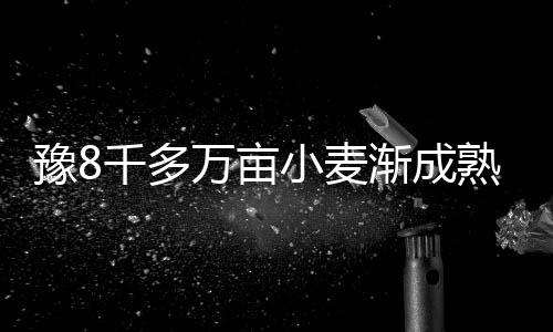 继续补强！尼克斯连签两欧洲锋线 波神好友加盟 各项农机准备工作就绪