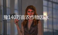 豫140万亩农作物因冰雹遭殃 7万亩小麦基本绝收