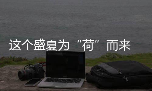 白边两双德拉季奇15分 热火两替补抢镜大胜76人 而河南赏(大河报)荷香醉人