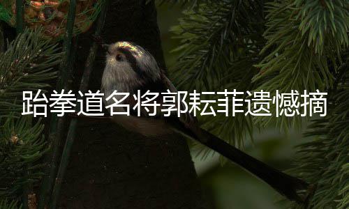 消化道癌晚期，治疗费或高达百万元，如何避免？ 郭耘菲进入“复活赛”
