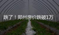 跌了！郑州房价跌破1万元/㎡ 跌幅创18个月新低