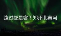 路过都是客！郑州北黄河滩种4000亩冬小麦 让过路候鸟有食吃