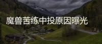 魔兽苦练中投原因曝光 不为转型！只想改善罚球