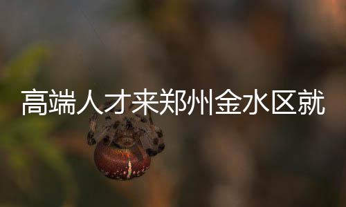 郑州新能源汽车将有专用号牌 11月起可自愿换领新牌照 金水区打出产业发展组合拳