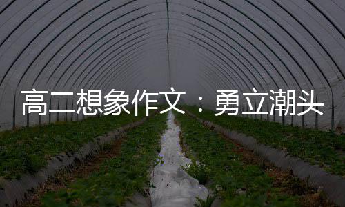 高二想象作文：勇立潮头求创新，乘风破浪正当时 高想是象作很不好的