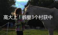 高大上！鹤壁3个村获中央财政支持 到底咋回事