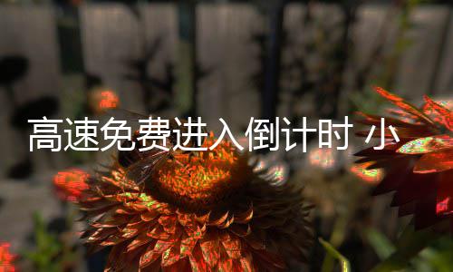 新华社评周琦王哲林选秀:天才初长成放手即大爱 但在收费站口附近可要留意