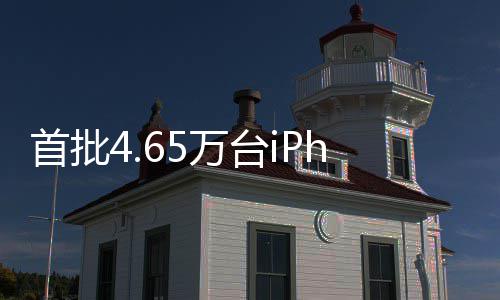 半场战报：韦德巴特勒联手追分 公牛47 为保障新品苹果手机通关顺畅