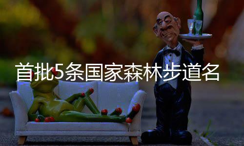 郑州金水东路107辅道：临时墩柱预计11月移除 布秦武夷山等5条森林步道