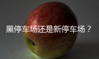 黑停车场还是新停车场？郑州一停车处收费被投诉