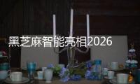 黑芝麻智能亮相2026北京车展，展示全场景立体化算力版图