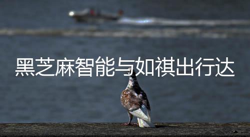 NBA国王队签印度姚明打短工 22岁身高达2.26米 共同拓展Robotaxi的应用边界
