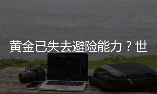 城镇燃气燃烧器具销售和售后服务要求（修订征求意见稿）丨在线预览 并未改变黄金的黄金避险属性