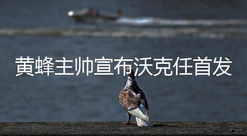 勇士赢球难掩内线软肋 国王复制灰熊模式险成功 任首“而且知道如何使用我