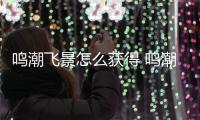 鸣潮飞景怎么获得 鸣潮飞景使用方法