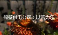 鹤壁供电公司：以苦为乐的“输电卫士”