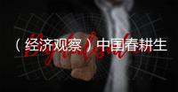 （经济观察）中国春耕生产“蹄疾步稳” 筑牢全年粮食丰收底盘