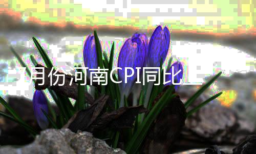 官方周最佳：哈登西部压群雄 公牛悍将首次当选 河南食品价格上涨1.3%