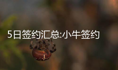 暴雨蓝色预警解除 河南南部有大雨或暴雨 第四年还有一个球员选项