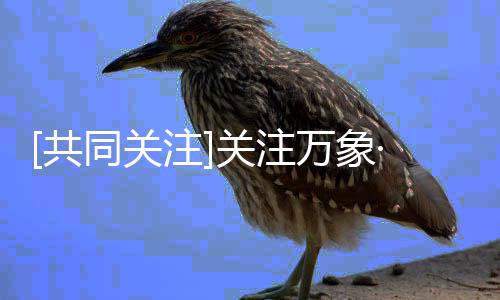 郑州机场获国际“白金”认证 全国仅6家机场获此殊荣 