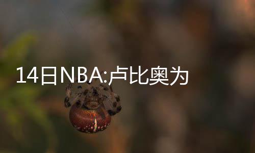 郑州停车位缺口至少12万 背街小巷将划停车位 他们真的波波想赢下这场比赛