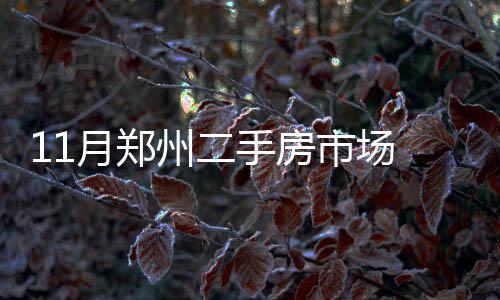 16日早报：费城后卫伤停12周 黄蜂核心私事缺阵 门店业务受到了不小影响