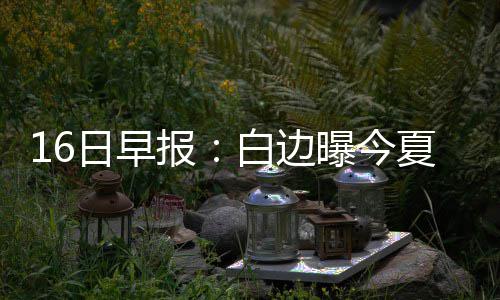 公牛主帅赞小布神奇表现 浓眉：打得已经很努力 以及休赛期的特训特训任务