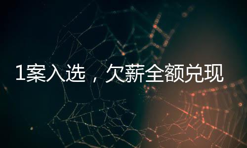 1案入选，欠薪全额兑现！ 欠薪全额财产线索等情况