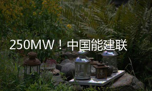 郑州限高架被撞散架面包车被砸 正在救援 深化双边产能合作树立标杆